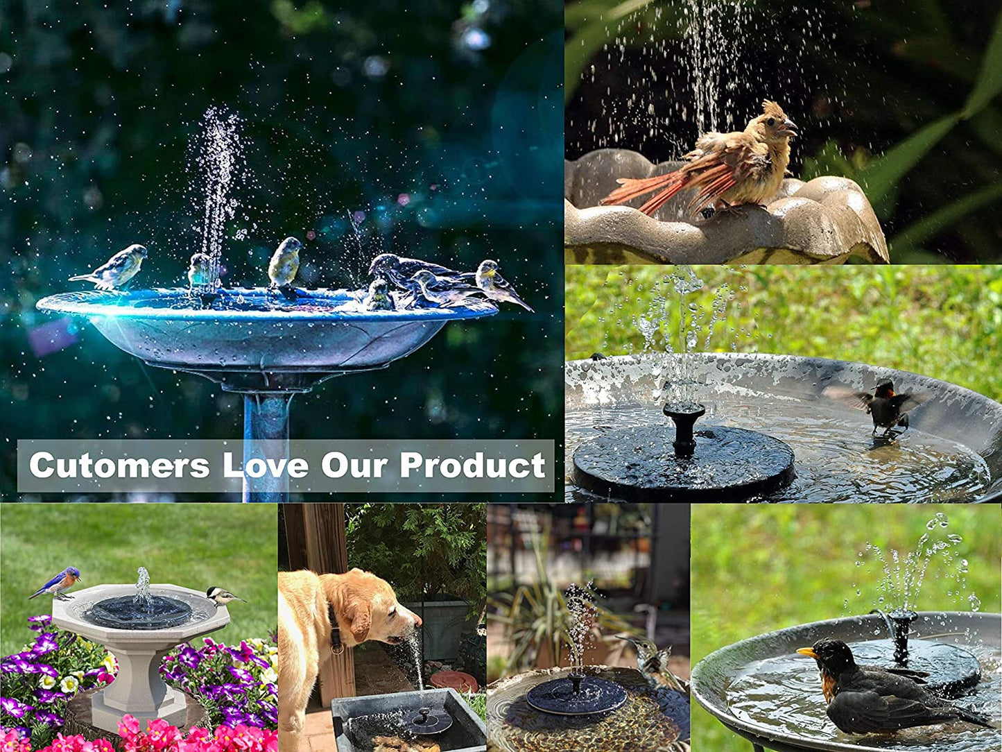 Pbooo Solar Fountain Pump,1.6w 6.3" Solar Powered Water Fountain Pump with 6 Nozzles,Solar Birdbath Floating Fountain for Garden,Ponds, Fish Tank,Outdoor and Aquarium