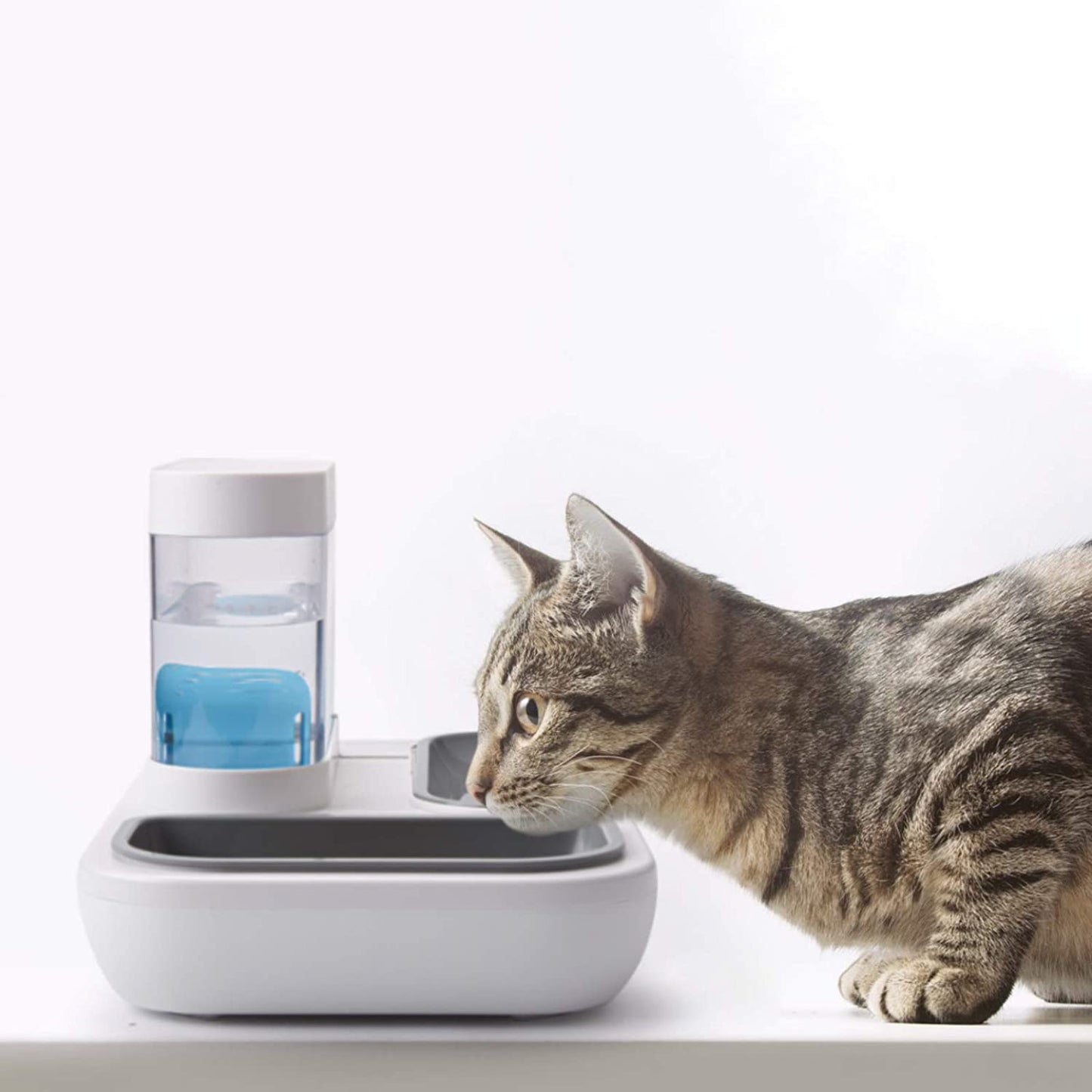 Cats Water Gravity Dispenser 1500ml Cat Bowls for Food and Water Double Bowls Detachable Anti Spill Non Slip Base Stable Premium for Dog Puppy Pets