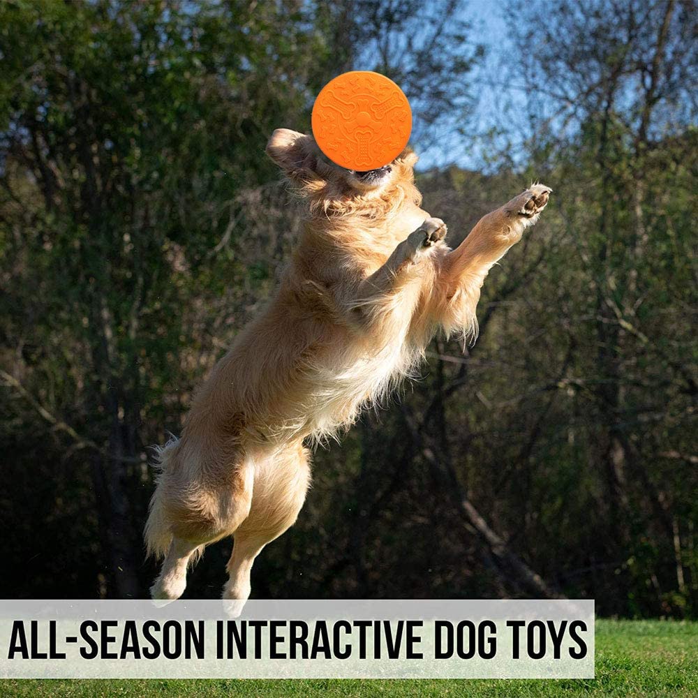3 Pcs Flyer Dog Toy, Frisbee, Lightweight, Durable and Water Resistant, Great for Beach and Pool, 10 inch diameter, for Medium/Large Breeds