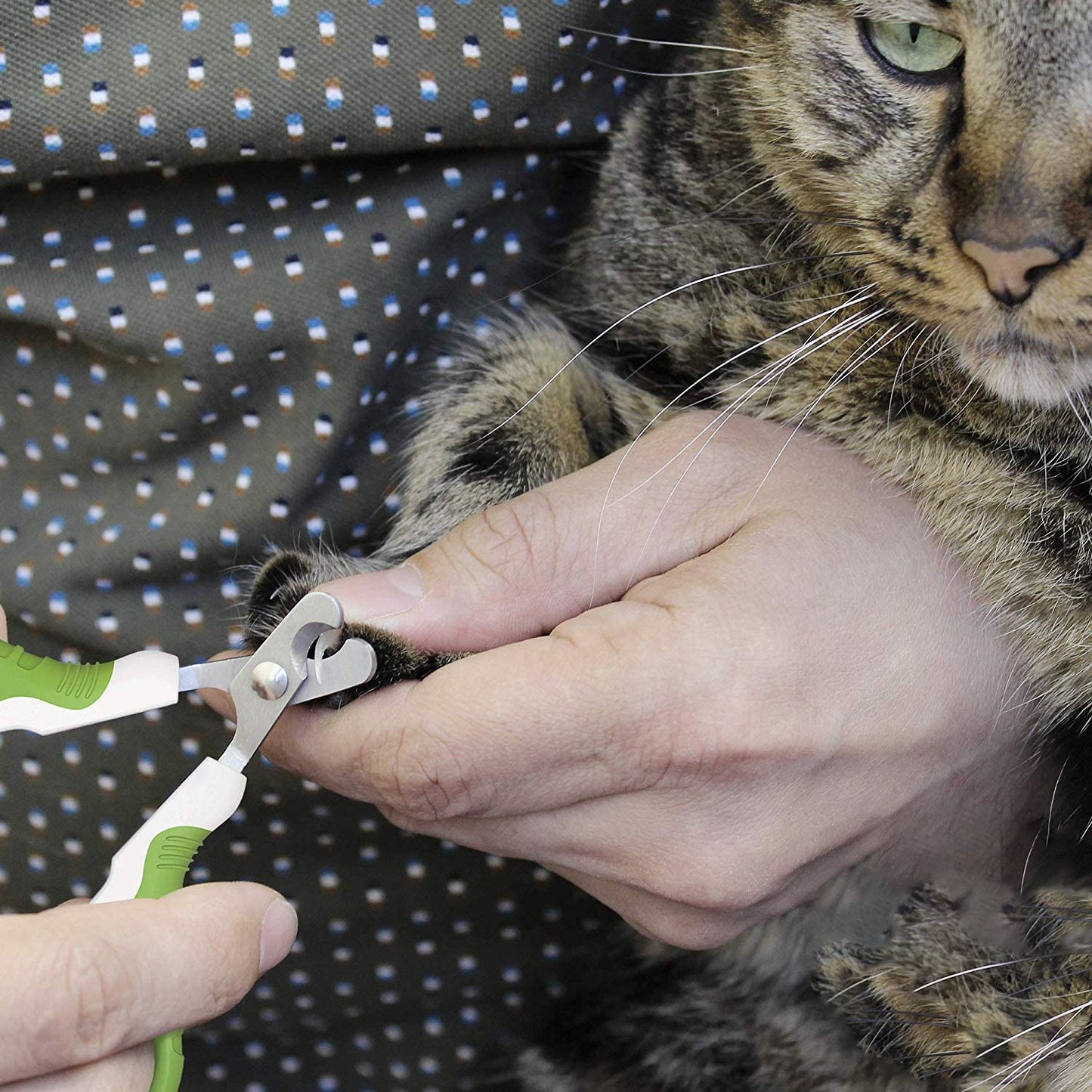 Pet Nail Clippers for Small Animals - Best Cat Nail Clippers & Claw Trimmer for Home Grooming Kit - Professional Grooming Tool for Tiny Dog Cat Bunny Rabbit Bird Puppy Kitten Ferret